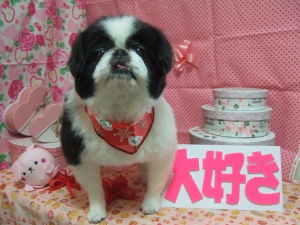 メイリーちゃん