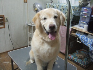 アレックスくん