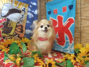 くぅちゃん