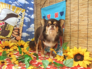 ノノちゃん