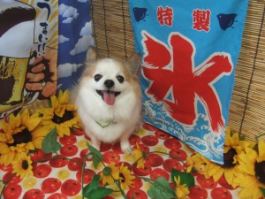 ハピィくん