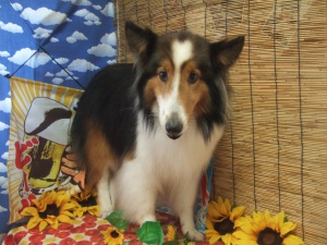 ティアラちゃん