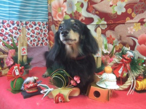 エクレアちゃん