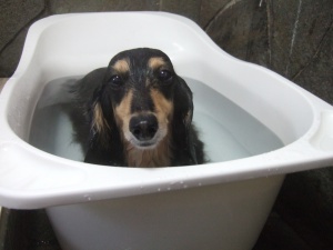 マリーちゃんのハッピーバスタイム！