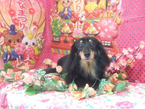 エクレアちゃん