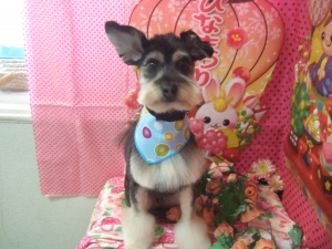 サンディーくん