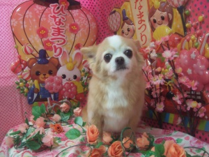 ネロくん