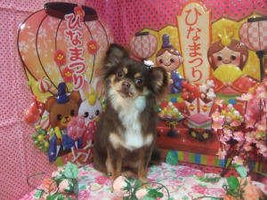 らんちゃん