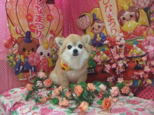 きょうたろうくん
