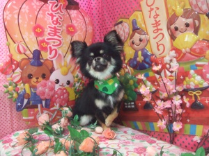 りくくん