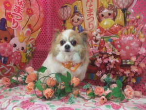 ライムくん