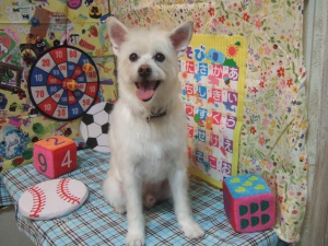 ゆうたろうくん