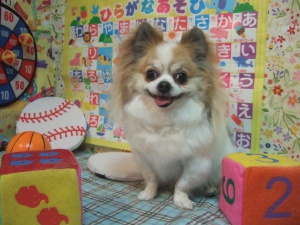 ライムくん