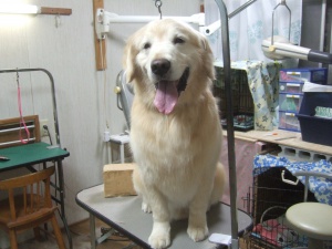 アレックスくん