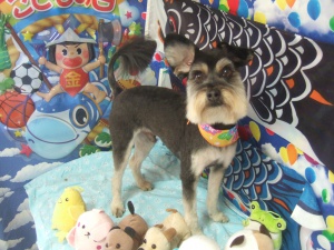 サンディーくん