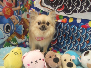 るんるんちゃん