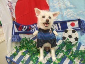 ゆうたろうくん