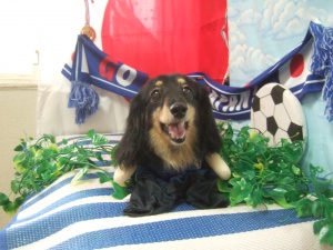 エクレアちゃん