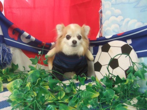 くぅちゃん
