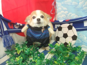 ルーニーくん