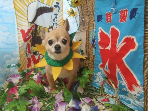 コナンくん