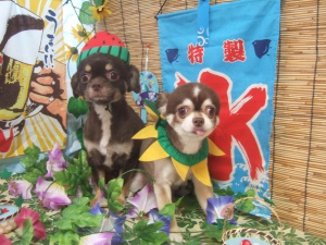 ララくん