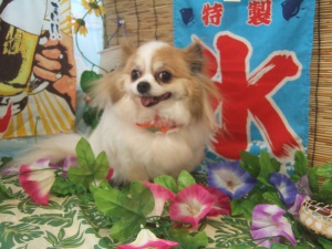 ライムくん