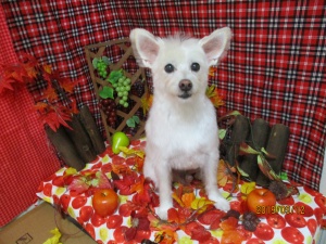 ゆうたろうくん