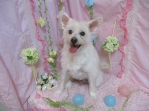 ゆうたろうくん