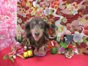 クッキーちゃん