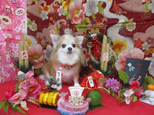くぅちゃん