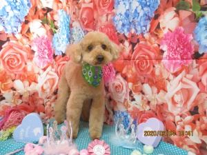 くんくんちゃん