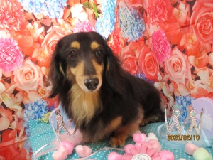 マリーちゃんです。