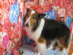 ティアラちゃん