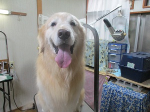 アレックスくん