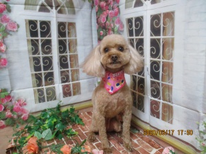 ラブリーちゃん