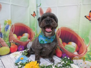 ベティーちゃん