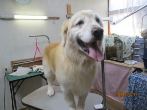 アレックスくん