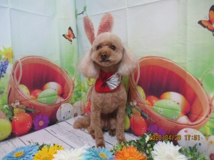 ラブリーちゃん