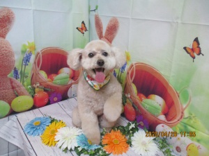 ラブリーちゃん