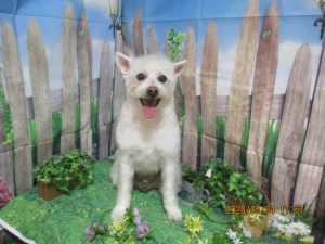 ゆうたろうくん