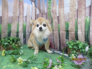 きょうたろうくん