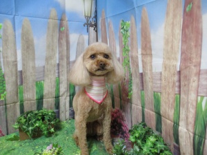 ラブリーちゃん