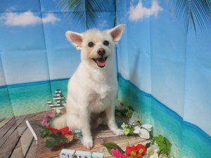 ゆうたろうくん