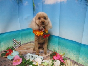 ラブリーちゃん