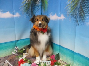 アンジュちゃん