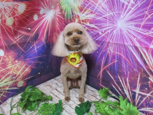 ラブリーちゃん