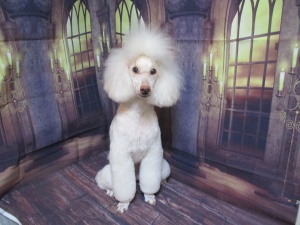 しんのすけくん