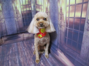 ラブリーちゃん