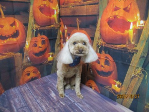 ラブリーちゃん